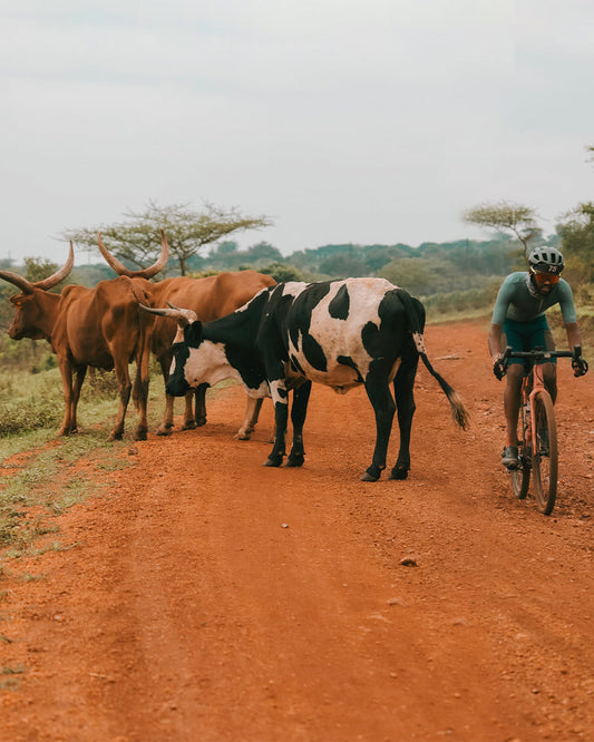 Changing Terrain with Rwanda Beyond